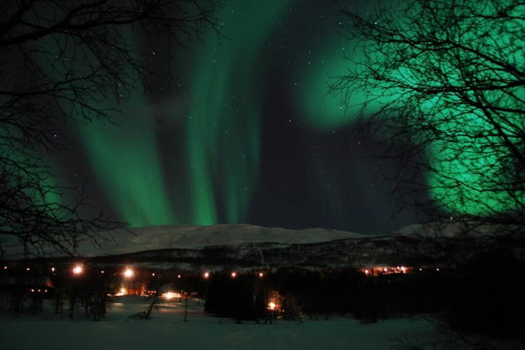 100 Years Old Norwegian Log House In Tromso Villa Exterior photo