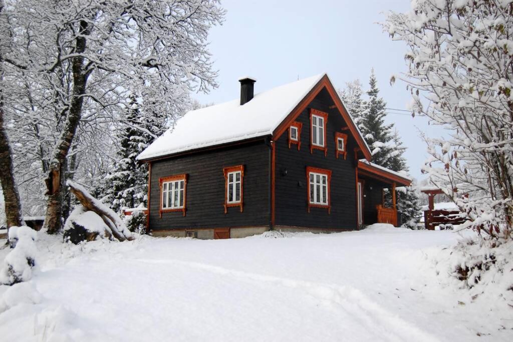 100 Years Old Norwegian Log House In Tromso Villa Exterior photo